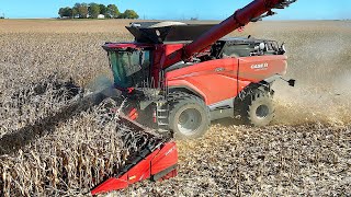 Is This Better Than The X9 CASE IH AF9 Harvesting Corn [upl. by Dorette]