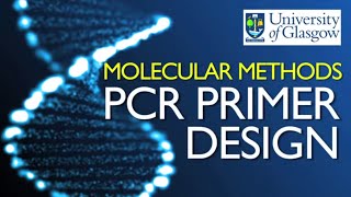 PCR Primer Design [upl. by Mcloughlin]