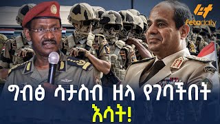 Ethiopia  ግብፅ ሳታስብ ዘላ የገባችበት እሳት [upl. by Sixel]