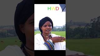 Full Dirama Funny Ethiopia YouTube Channel [upl. by Melise]