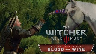 The Witcher 3 Blood and Wine 3  Buscando Pistas Gameplay em PTBR [upl. by Zachery51]