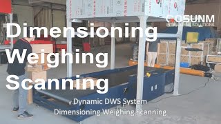 Dynamic Dimensioning Weighing And Scanning Systems DWS [upl. by Tnomed]