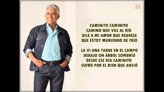 Reynaldo Armas  Lucerito con letra [upl. by Robena]