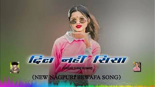 New Nagpuri Song 2024Dil Nahi Sisa Nagpuri SongDeej Krishna Kr Cc Baradih [upl. by Kcirret766]