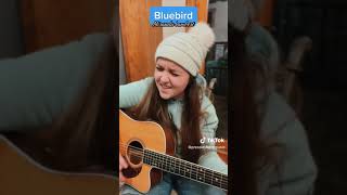 quotBluebirdquot by Miranda Lambert Cover [upl. by Ytsirk173]