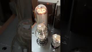 Upgrade tubes in Willsenton R800i 300B 805 tube Integrated Amplifier trendingyoutubeshortsaudio [upl. by Anagnos658]