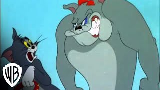 Tom and Jerry In the Dog House  quotCat Nappingquot  Hammock  Warner Bros Entertainment [upl. by Gabie]