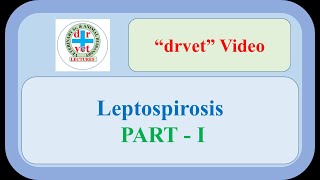 Leptospirosis Part 1 [upl. by Yeta]