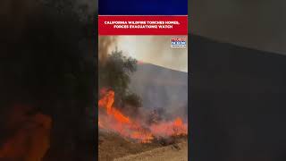 Strong Winds Fuel Rapid Spread Of Wildfires In Southern California Homes Destroyed Watch shorts [upl. by Alla]