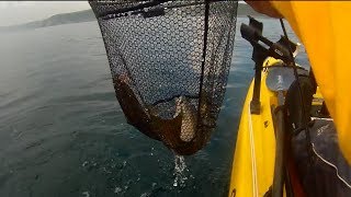 Kayak Fishing  Inshore Reef Fishing for Pollack [upl. by Turner615]