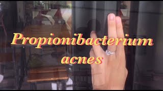 Propionibacterium acnes [upl. by Yhtommit459]