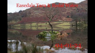 Easedale Tarn  040124 [upl. by Ellerahs]