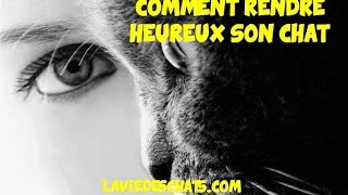 Comment rendre heureux son chat 🐱 [upl. by Opaline]