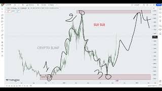 Sui SUI Crypto Price Prediction 2024 [upl. by Hyozo298]