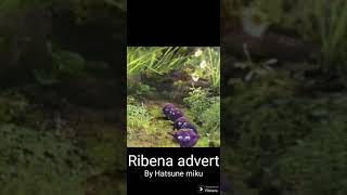 Ribena advert [upl. by Ellenor]