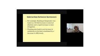 Interaction of plant hormone synergism amp antagonism [upl. by Ahsimot]