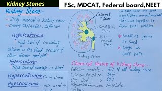 kidney stone  kidney stone class 12 biology [upl. by Berlin]