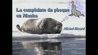 La complainte du phoque en Alaska basse [upl. by Twum]