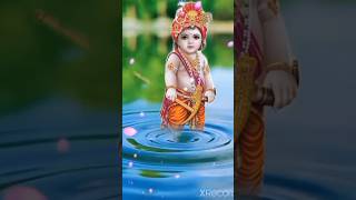 Krishna Bhagwan Status Video ❤️ Krishna Status For Whatsapp ❤️ [upl. by Orlanta]