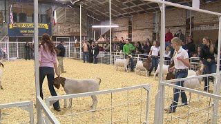 Video Hundreds of FFA 4H students participate in 45th annual Walter Gerlach Livestock Show an [upl. by Peppard]