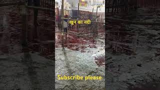 Maa Vaishno Devi Katra Kashmir temple khun ka Nad viralvideo viralshort trending trendingshorts [upl. by Nahk]