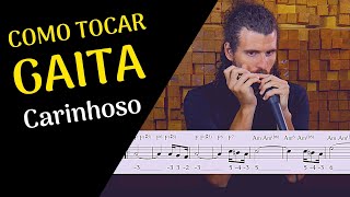 APRENDA COMO TOCAR CARINHOSO NA GAITA CROMÁTICA harmonica Aula com tablatura [upl. by Spiers]