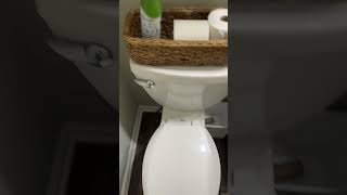 How to flush an American Standard Toilet [upl. by Nabois801]