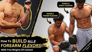 How to Build ALL 8 Forearm Flexors 4 Finger Flexors  4 Wrist Flexors  Big amp Ripped Forearms 💪 [upl. by Adamek493]