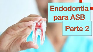 Endodontia para ASB  Parte 2 [upl. by Remle]