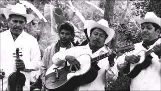 Las mejores polkas con Los Camperos de Valles Y de pilón Tamaulipas album completo [upl. by Nue]