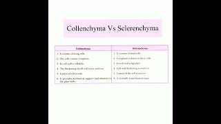 Differences between Collenchyma and SclerenchymaTissueClass9th Biologyshorts biologynote class9 [upl. by Esertal]