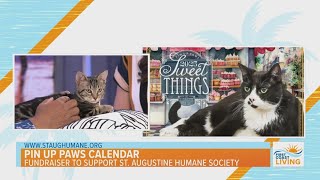 Pin Up Paws Calendar to Benefit St Augustine Humane Society [upl. by Hooker]