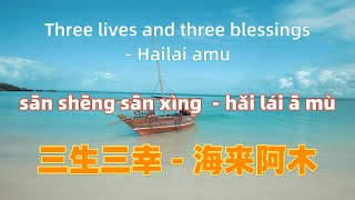 三生三幸  海来阿木 san sheng san xing  Hailai amu Chinese songs lyrics with Pinyin [upl. by Anekam]