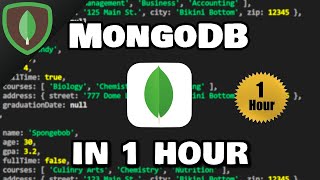 Learn MongoDB in 1 Hour 🍃 [upl. by Adiarf]