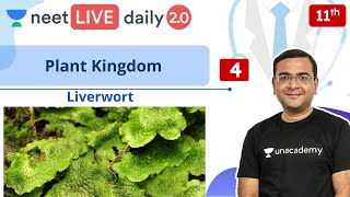 NEET Plant Kingdom  L4  Liverwort  Class 11  Live Daily 20  Unacademy NEET  Pradeep Sir [upl. by Leveroni]