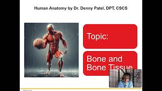 Bone Tissue and Formation [upl. by Bobker]