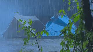 Instant Fall Asleep in 3 Minutes  Torrential Rain amp Mighty Thunder Sounds on Camping Tent in Forest [upl. by Niko]