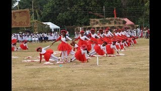 NGDUTUGEMUNU MAHA VIDYALAYA AEROBIC DRILL DISPLAY HOUSE MEET 2019 [upl. by Aihsrop]