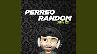 Perreo Random Uno [upl. by Irolav]