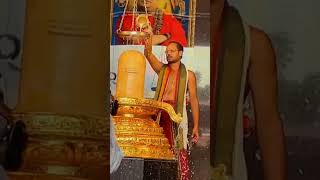 Shiva lingam abhishekam [upl. by Enyamrahc]