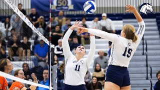 2024 Hillsdale College Volleyball Season Preview [upl. by Berglund934]