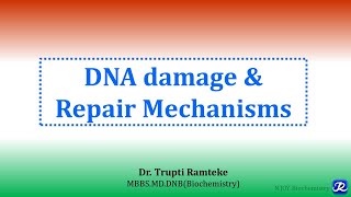 6 DNA damage and repair mechanisms  Molecular Biology Biochemistry  NJOY Biochemistry [upl. by Barris796]