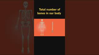 Sciencestudy277 total number of bones in our body short viral short [upl. by Pelagia516]