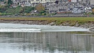 Tidal Bore on the River Kent at GrangeOverSands [upl. by Ansilma]