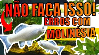 🔴MOLINÉSIA ERROS MAIS COMUNS QUE AQUARISTAS COMETEM Mr Betta [upl. by Ottillia]