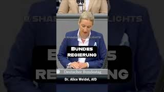 💸 Weidel Steuerzahler finanzieren Chaos 🛑 aliceweidel afd [upl. by Orlena]