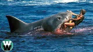 10 DEADLIEST Shark Attack Stories [upl. by Evangeline]