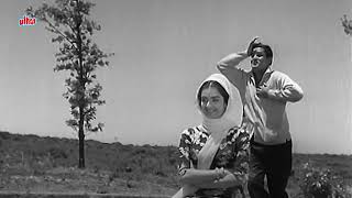 हुस्न चला कुछ ऐसी चाल  Bluffmaster 1963  Shammi Kapoor  Saira Banu Rafi amp Latas Timeless Duet [upl. by Kessiah543]