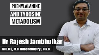 4 Phenylalanine and tyrosine metabolism [upl. by Gefen]