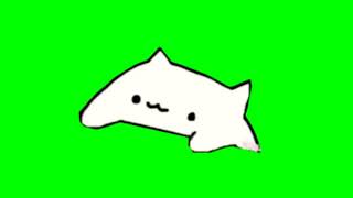 Bongo Cat Meme Green Screen [upl. by Iadam464]